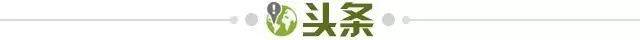 1776172006720065163.jpg 头条.jpg